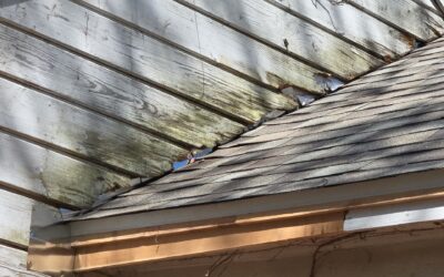 Does your roof look like this? DM us ‘ROOF’ now for a free inspection‼️