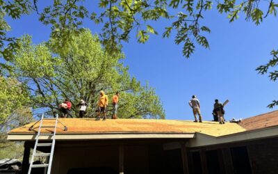 Afternoon Reroof with the boss!