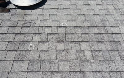 The little things add up! Just take a few seconds to look at your roof and give us a call or DM us ‘ROOF’ now for a free inspection!